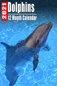 Mini Calendar 2021 Dolphins