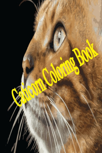 Caticorn Coloring Book