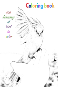 Coloring book 100 drawings of bird to color