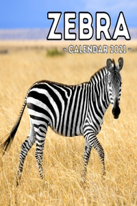 Zebra Calendar 2021