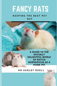 Fancy Rats Keeping the Best Pet Rat