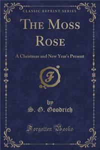The Moss Rose