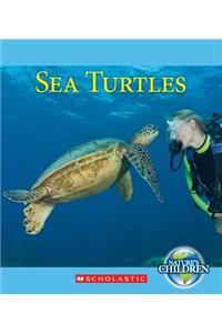 Sea Turtles