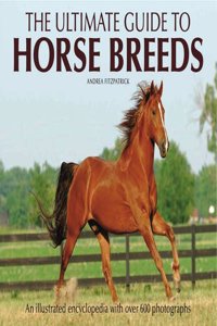 Ultimate Guide to Horse Breeds