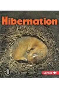 Hibernation