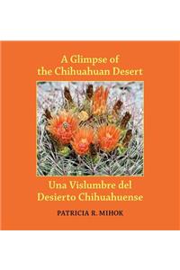 Glimpse of the Chihuahuan Desert/Una Vislumbre del Desierto Chihuahuense