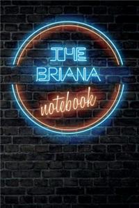 The BRIANA Notebook