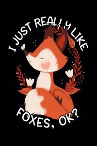 I Just Really Like Foxes OK?