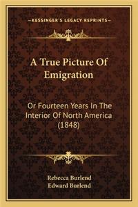 True Picture of Emigration