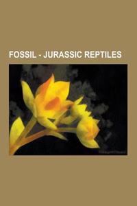 Fossil - Jurassic Reptiles: Jurassic Crocodylomorpha, Jurassic Dinosaurs, Jurassic Plesiosaurs, Jurassic Pterosaurs, Jurassic Turtles, Aggiosaurus