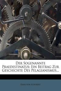 Der Sogenannte Praedestinatus