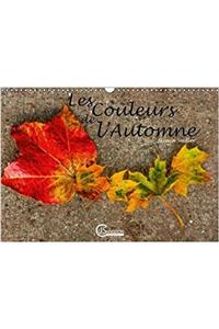 Couleurs De L'automne 2018