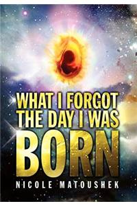 What I Forgot the Day I Was Born