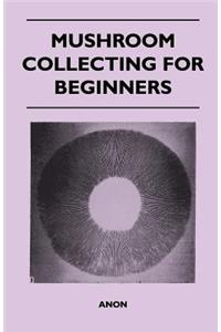 Mushroom Collecting For Beginners