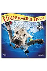 Underwater Dogs 2018 Calendar