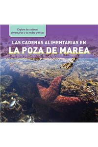 Cadenas Alimentarias En La Poza de Marea (Tide Pool Food Chains)