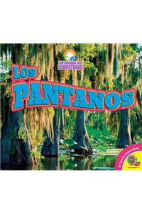 Pantanos