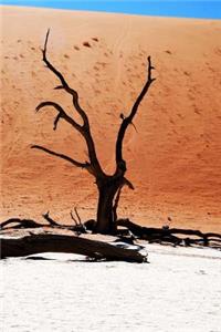 Tree and Dune in Namibia Africa Journal