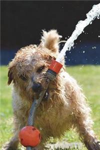 Dogs Just Want to Have Fun Journal