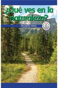 ¿Qué Ves En La Naturaleza?: Recopilar Datos (What Do You See in Nature?: Gathering Data)