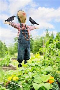 A Scarecrow in the Garden with Crow Friends Journal