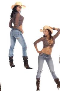 Sexy Cowgirl Journal