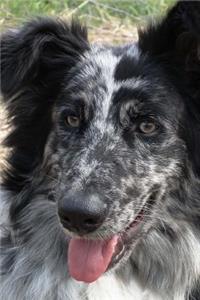 So Sweet Black and White German Sheepdog Pet Journal
