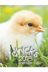 Chicks 2018 Calendar (UK Edition)