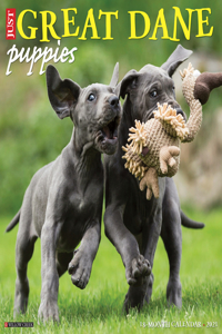 Great Dane Puppies 2021 Wall Calendar