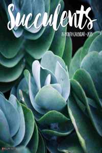 Succulents 2023 Wall Calendar