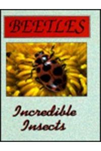 Beetles