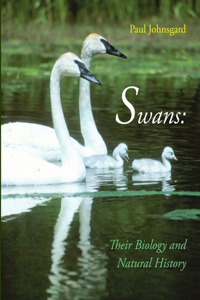 Swans