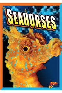 Seahorses