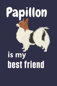 Papillon is my best friend