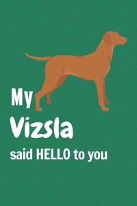 My Vizsla said HELLO to you