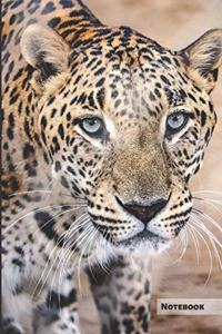 Jaguar Notebook