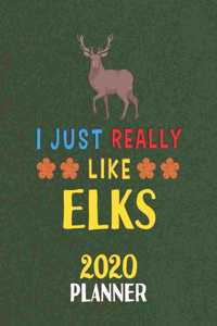 I Just Really Like Elks 2020 Planner