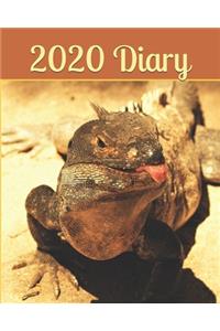 2020 Diary: Weekly Planner & Monthly Calendar - Journal, Iguana, Wildlife 2020, Wild Animals 2020, - 8x10"