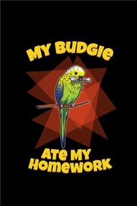 My Budgie Ate My Homework