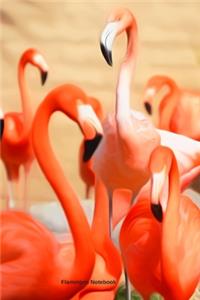 Flamingos Notebook