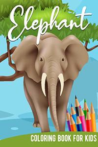 Elephant Coloring Book For Kids
