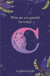 Gratitude Journal for Writers