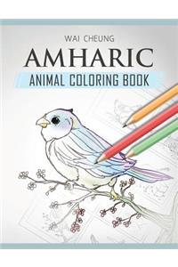 Amharic Animal Coloring Book