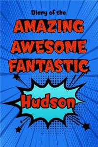 Diary of the Amazing Awesome Fantastic Hudson