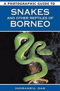 Photographic Guide to Snakes & Other Reptiles of Borneo