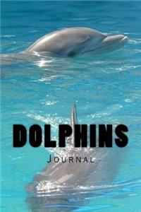 Dolphins Journal