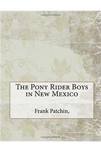 The Pony Rider Boys in New Mexico