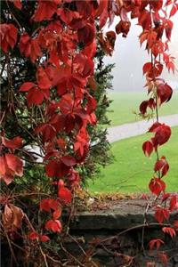 A Cascade of Red Leaves in the Fall Journal