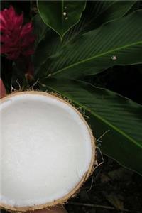 Coconuts Notebook