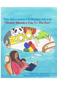 The Adventures of Destiny Miracle